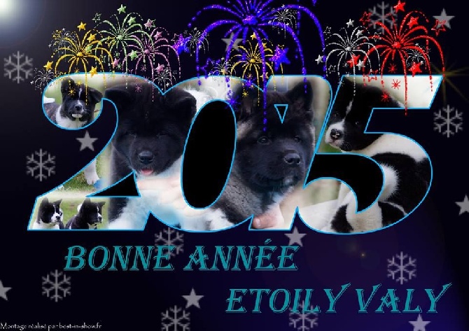 D'Etoily Valy - Meilleurs  voeux   2015