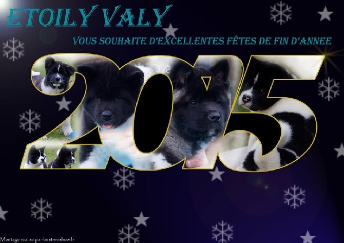 D'Etoily Valy - Joyeuses Fètes !